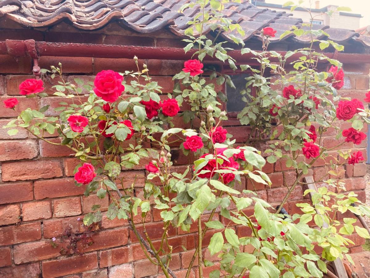 Cosy Cottage Four Miles From Lincoln City Centre Bagian luar foto